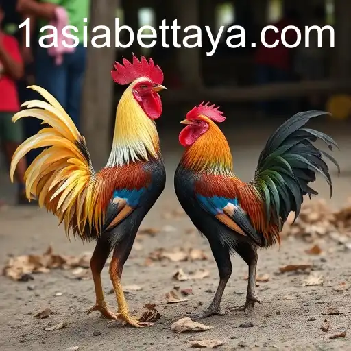 Exploring the Evolution of Sabong Games with 1AsiaBet